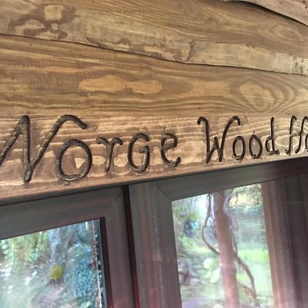 Norwegisches Holzhaus Villa Neuruppin Exteriör bild