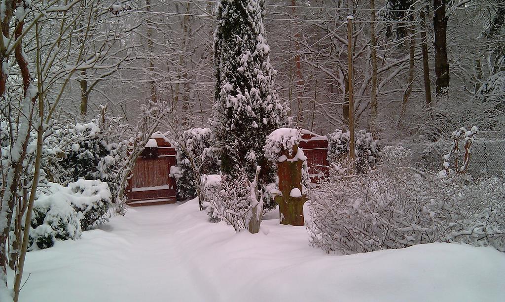 Norwegisches Holzhaus Villa Neuruppin Exteriör bild