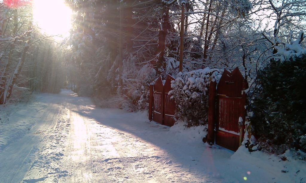 Norwegisches Holzhaus Villa Neuruppin Exteriör bild